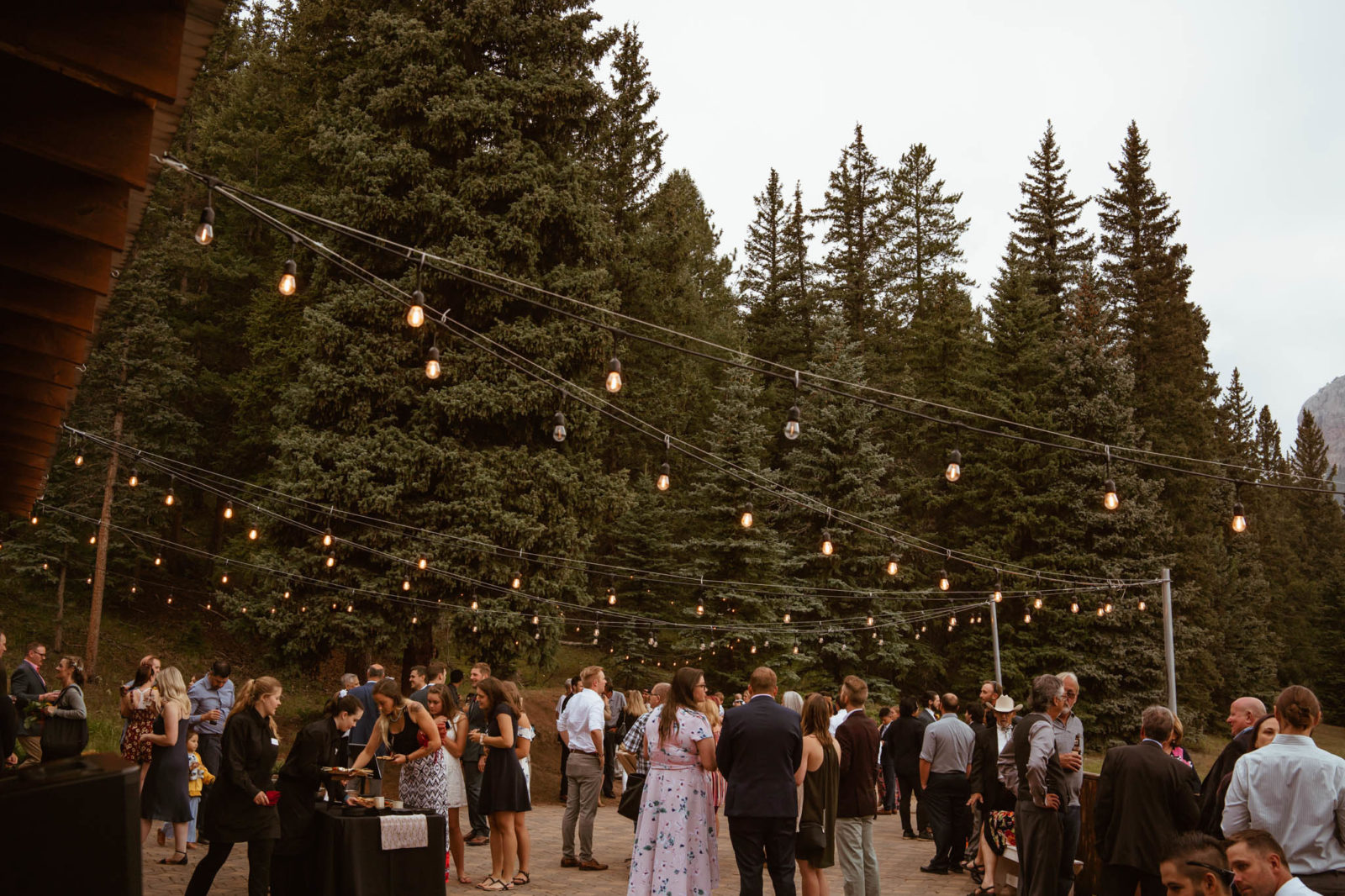 Mountain View Ranch Colorado The Essential Guide to This Wedgewood